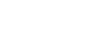 Dennis Schiel Logo White